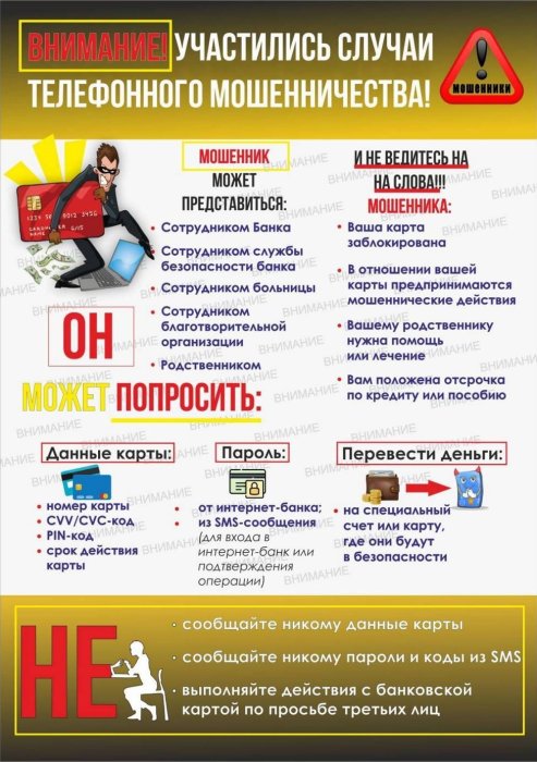 Цифровая грамотность населения
